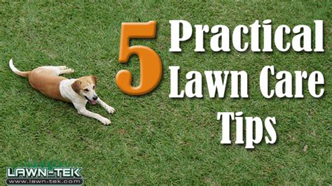 The Top 5 Practical Lawn Care Tips For Urbandale Ia