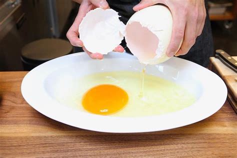 Cuisiner Un œuf Dautruche Astuces Pour En Faire Des Mets Insolites