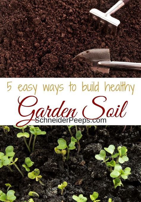 Soil Is The Foundation Of Our Gardens If You Want A Large Harvest You