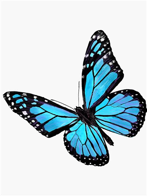 Light Blue Butterfly Sticker By Vikikl Redbubble Butterfly Drawing