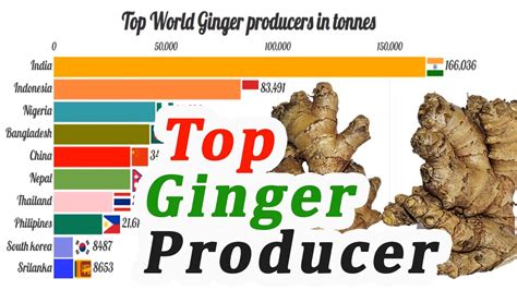 Top Largest Ginger Producing Countries In The World Youtube