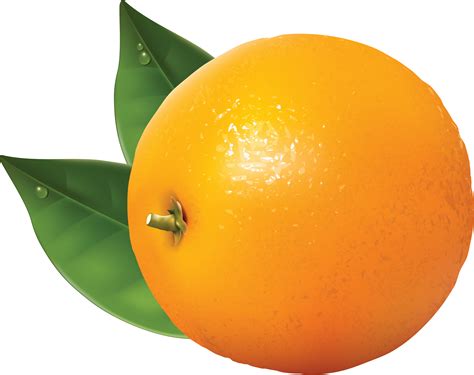 Orange Tangerine Clip Art Orange Png Image Free Download Png