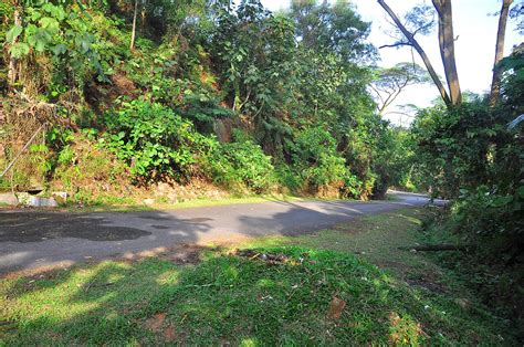 Mbpj to replace tattered cover on the hillslope near bukit gasing s sivan temple the star. Sungai Siput Boy: Hiking : Taman Pendidikan Bukit Gasing ...
