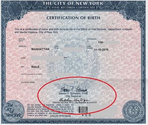 Ny Short Form Birth Certificate Steven P Schwartz Birth Certificate Birth Certificate