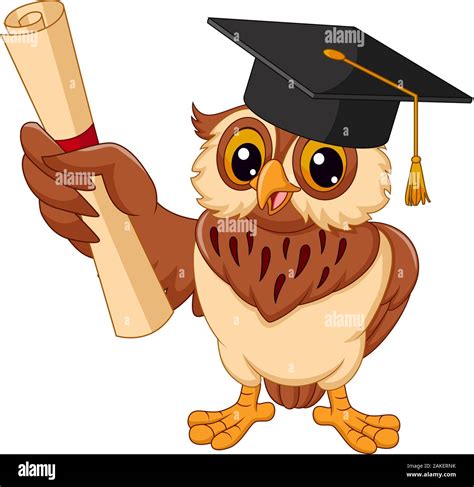 Cartoon Owl Wearing Graduation Cap Holding Diploma Stock Vector Image