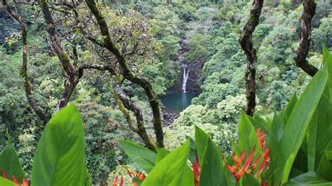 Have 20m You Can Buy The Garden Of Eden In Hawaii