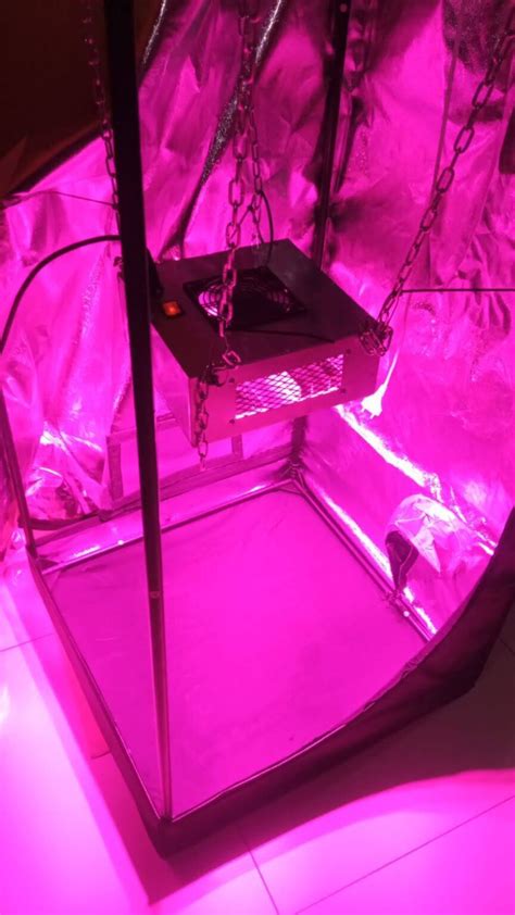 Kit Con Carpa Led Dob X X Cultivo Plantas Indoor Promo Web