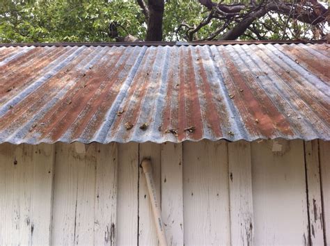 The Cavender Diary Tin Shed Corrugated Metal Roof Tin Roof