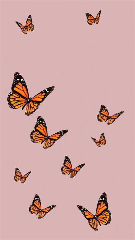 Litzy On Butterfly In 2020 Iphone Background Vintage Butterfly Hd