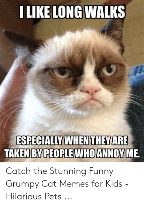 25 Best Memes About Funny Grumpy Cat Memes Funny Grumpy