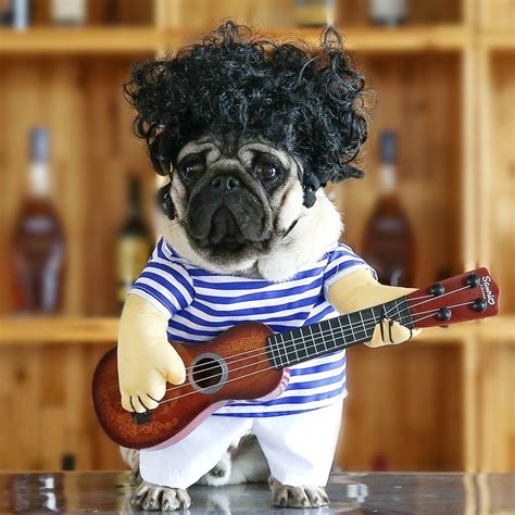 Funny Guitar Dog Costume This Halloween Give Your Dog Cool Look By