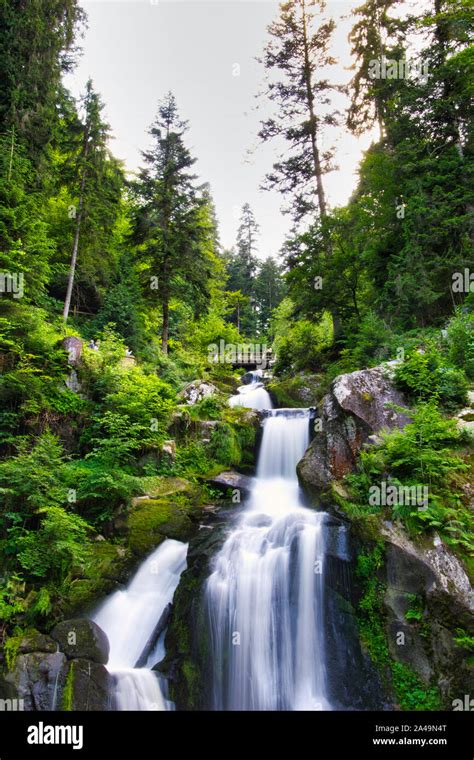 Landscape Waterfalls Forest Triberg Germany Stock Photo Alamy