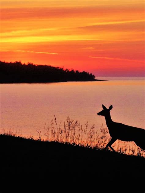 The Joy Of Sunrise Lake Superior Photograph By Jan Swart Pixels