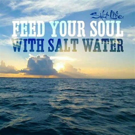 Salt water quotes (1 quote). 18 best Salt Life images on Pinterest | Salt, Salts and Beach quotes