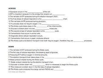 Photosynthesis & cellular respiration review. Cellular Respiration Crossword Puzzle by Biology Roots | TpT