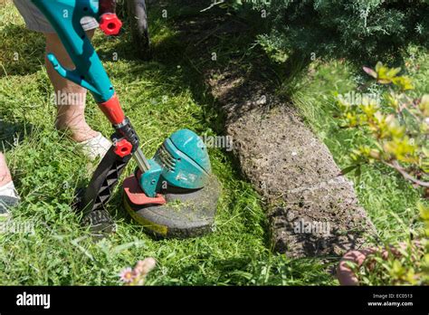 Man Busy And Concentrated Trimming Grass In The Garden With Brush Cutter Stock Photo Alamy