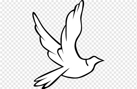 The Best Holy Spirit White Dove Png Tong Kosong