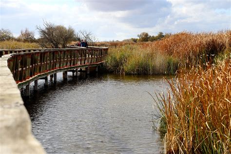 Las Tablas De Daimiel Cuando Los Ríos Inundan La Llanura Para Formar