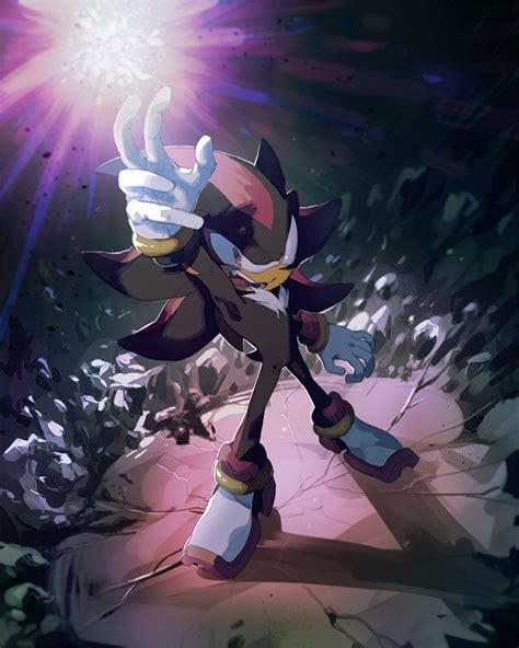 Chaoscontrol Shadow The Hedgehog Sonic The Hedgehog Silver The