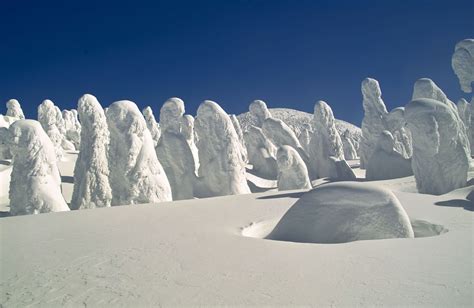 Juhyo The Snow Monsters On Japans Mount Zao Snow Monster Japan