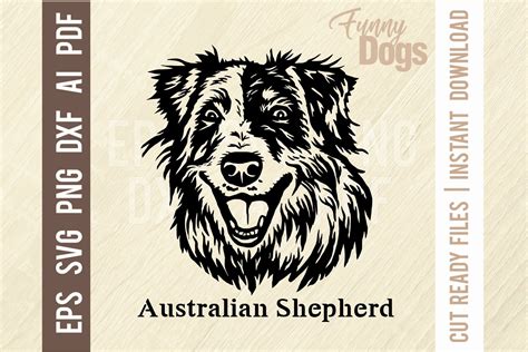 Australian Shepherd Funny Dog Photoshop Graphics ~ Creative Market