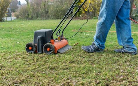 What To Do After Dethatching Lawn My Cheat Sheet