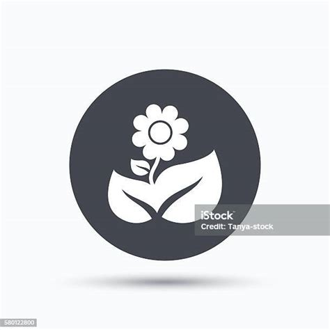Ikon Bunga Tanaman Penjual Bunga Dengan Tanda Daun Ilustrasi Stok
