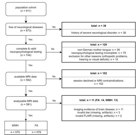 Figure 1 From Sex Specific Causes And Consequences Of White Matter