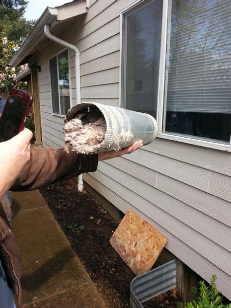 He cleaned it up using water from the laundry in the future, never use brush rods that can unscrew to clean a dryer vent. How to Clean Out Long Dryer Vents | Clean dryer vent ...