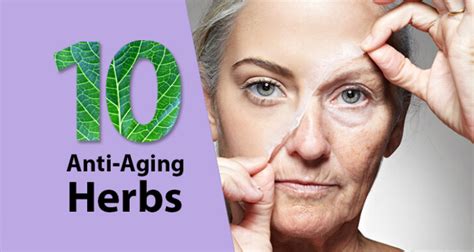 10 Herbs For Anti Aging And Skin Care Ayurveda Tips