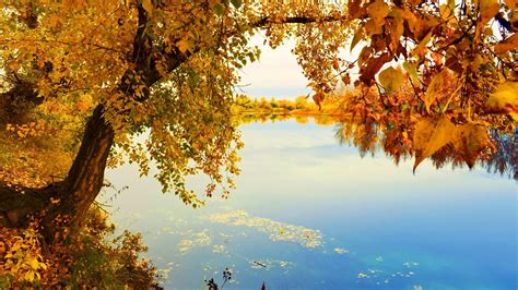 Indian Summer Wallpapers Top Free Indian Summer Backgrounds