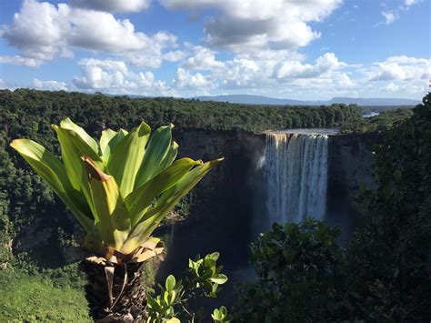 Your Guide To Travelling Suriname And Guyana Lloyds Travel And Cruises