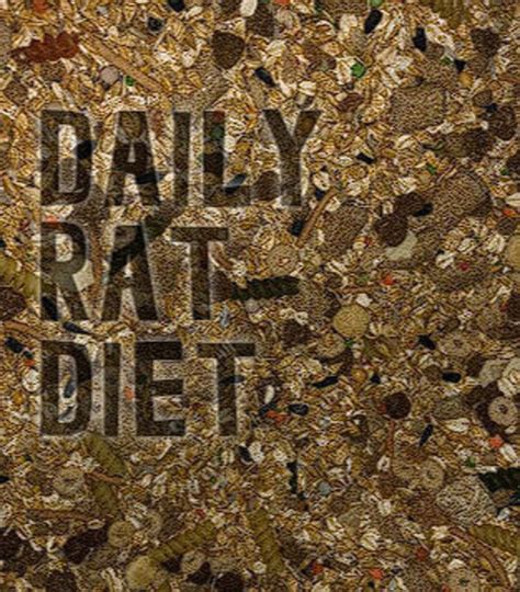 Raining Rats Grain Diet Base Great Rat Diet Or Food Base To Mix In