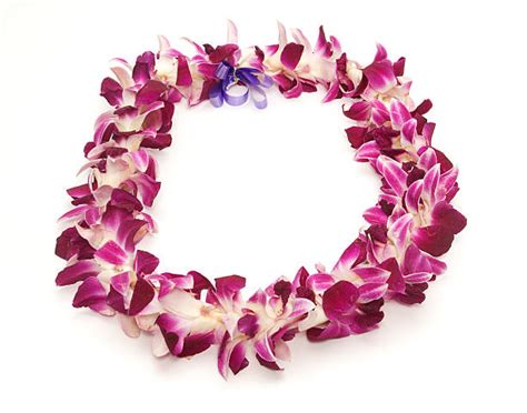 Royalty Free Hawaiian Lei Pictures Images And Stock Photos Istock