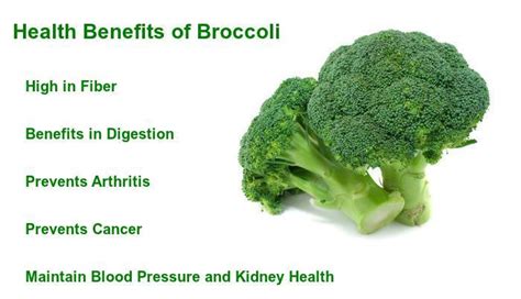 Why Broccoli Is Good For Bodybuilding Health Benefits Of Broccoli