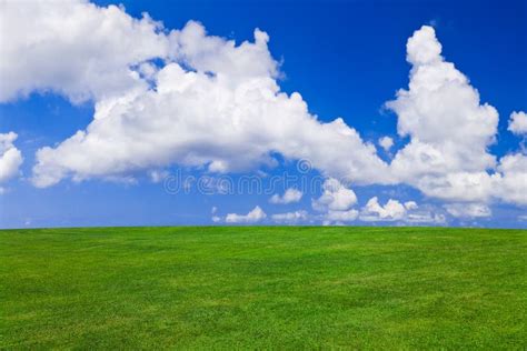 Grass And Cloudy Sky Stock Image Image Of Meadow Abstract 10782925