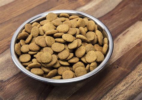 We have taken time to test several options and recommend best products in the article. Top 10 Best Healthy Dry Dog Food in 2020 Reviews - Your ...