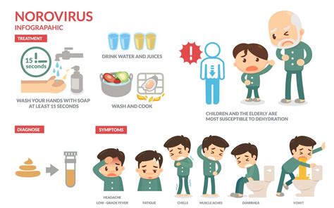 Norovirus Overview Causes Symptoms Treatment Illness Com