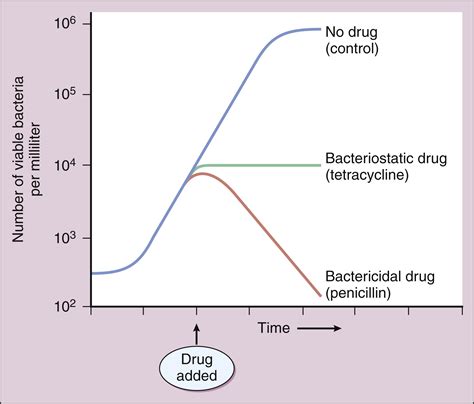 Antibiotics Overview Biology Ease