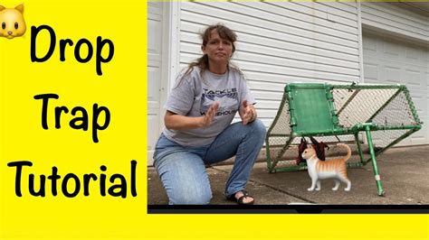 Trapping Feral Cats How To Use A Drop Trap For Cats Tnr Feral Cats