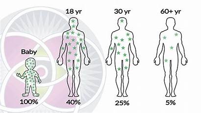 Stem Cells Cell Age Therapy Percentage Numbers