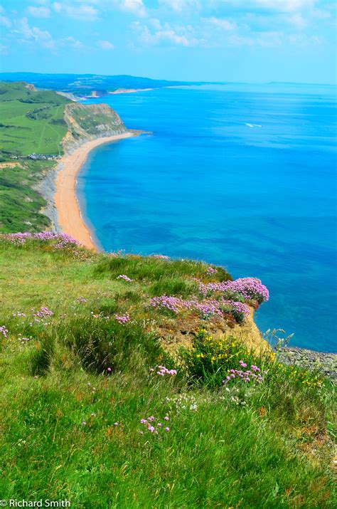 Dorset Coastline On The Way To Golden Cap Bilder Landschaften