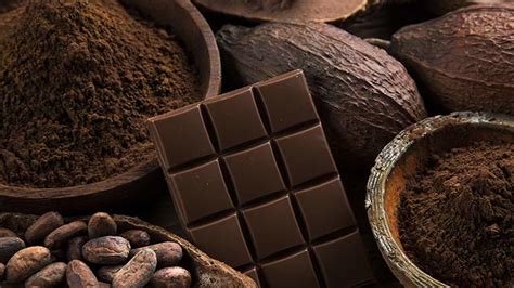 7 Proven Health Benefits Of Dark Chocolate General Health Magazine