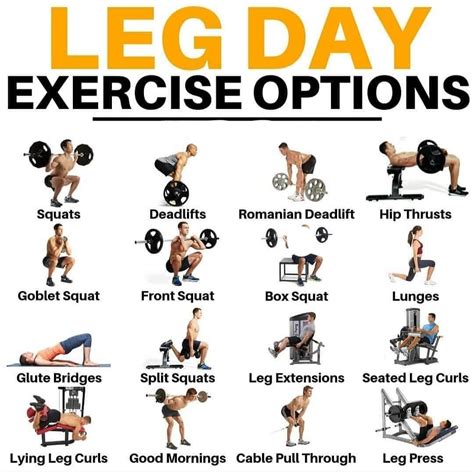 Leg Day Options Leg Workouts Gym Best Leg Workout Gym Workouts For Men