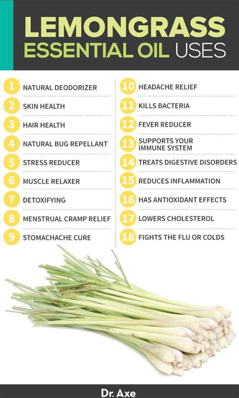 Lemongrass Essential Oil Benefits Uses And Side Effects Dr Axe