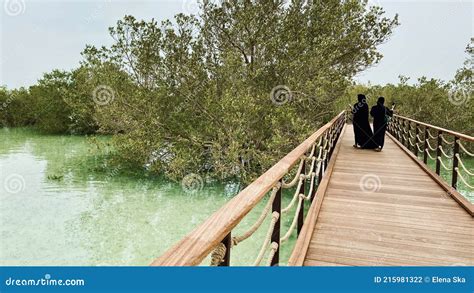 A Beautiful Natural Mangrove Park In Abu Dhabi In The United Arab