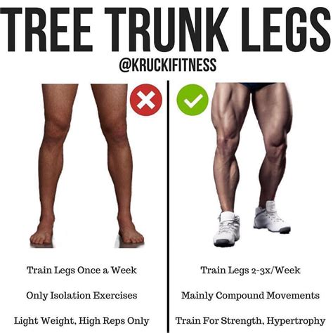 Post By Kruckifitness ・・・ He Wrote Tree Trunk Legs By Kruckifitness To Build Big Legs You