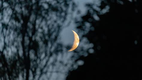La Luna Creciente Fotografiada Desde Northumberland Inglaterra El