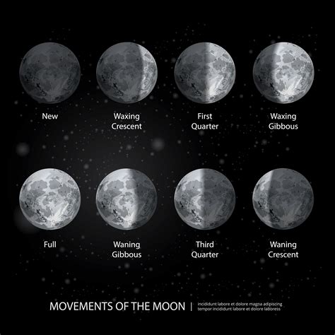 Movements Of The Moon Phases Realistic Vector Illustration 642991