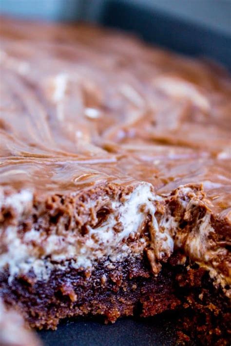 Mississippi Mud Cake Recipe The Food Charlatan